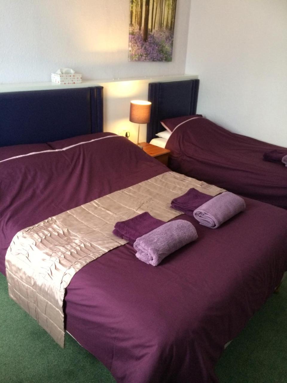 The Haldon Guest House Paignton Dış mekan fotoğraf