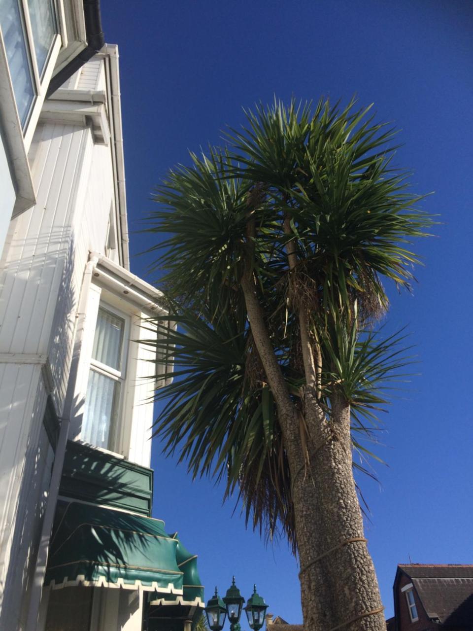 The Haldon Guest House Paignton Dış mekan fotoğraf